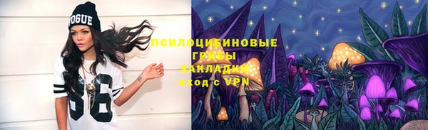 Альфа ПВП Козловка
